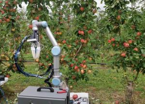 顯揚科技亮相央視直播間