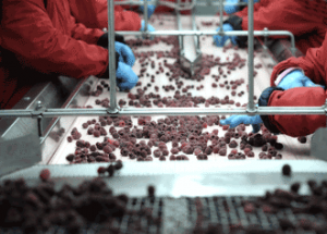 顯揚科技亮相央視直播間