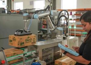 顯揚科技亮相央視直播間